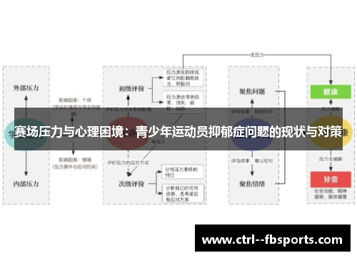 赛场压力与心理困境：青少年运动员抑郁症问题的现状与对策