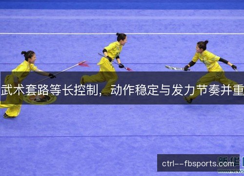 武术套路等长控制,动作稳定与发力节奏并重 武术套路等长控制,动作稳定与发力节奏并重